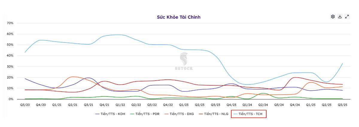 Cổ phiếu TCH - Lợi nhuận giảm mạnh - Có nên mua?