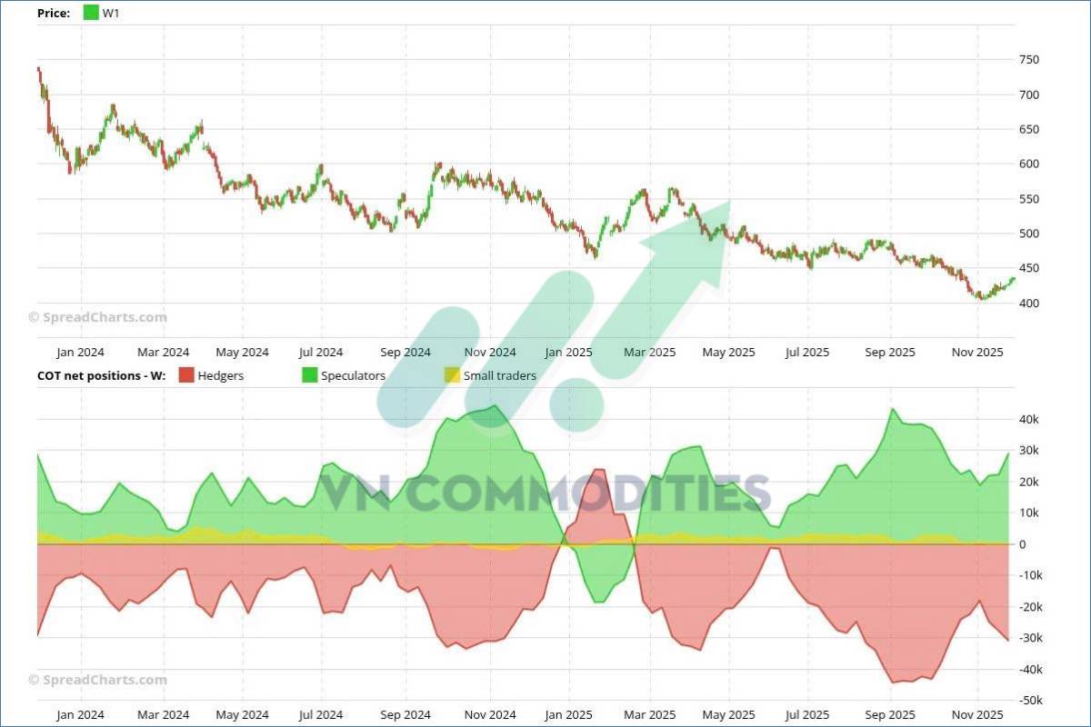 Xuất khẩu ngô Mỹ tăng vọt – Brazil đối mặt hạn hán; đường quay lại đà đi lên