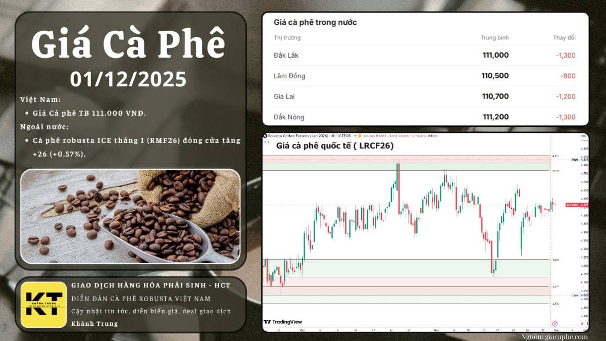 NHẬN ĐỊNH THỊ TRƯỜNG CÀ PHÊ NGÀY 01/12/2025. ------. I. Giá cà phê trong nước. Giá cà phê hôm nay dao  ...