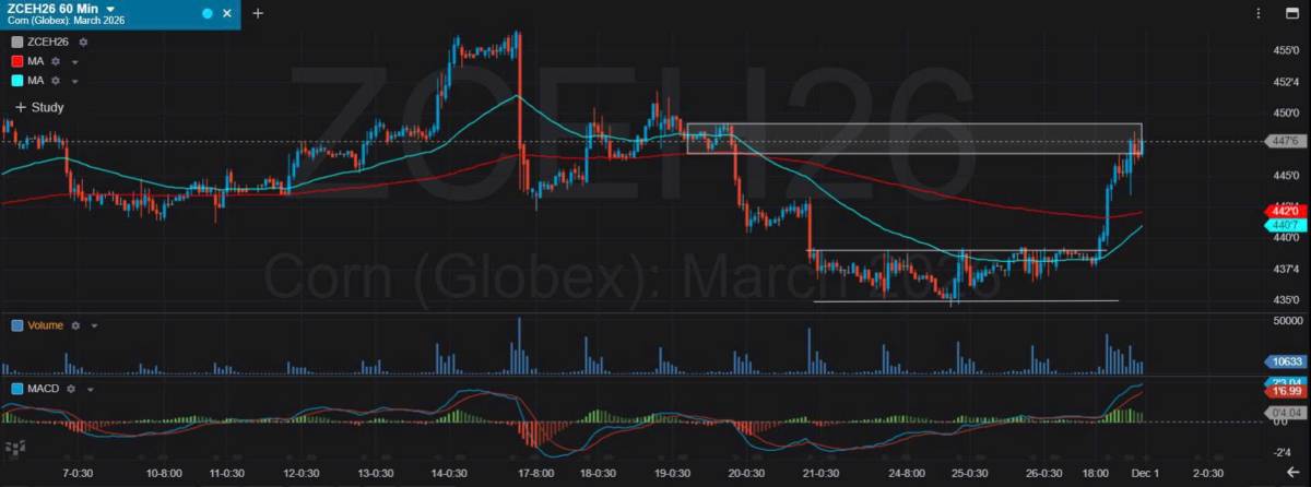 Bản Tin Nhóm Nông Sản Ngày 01/12/2025