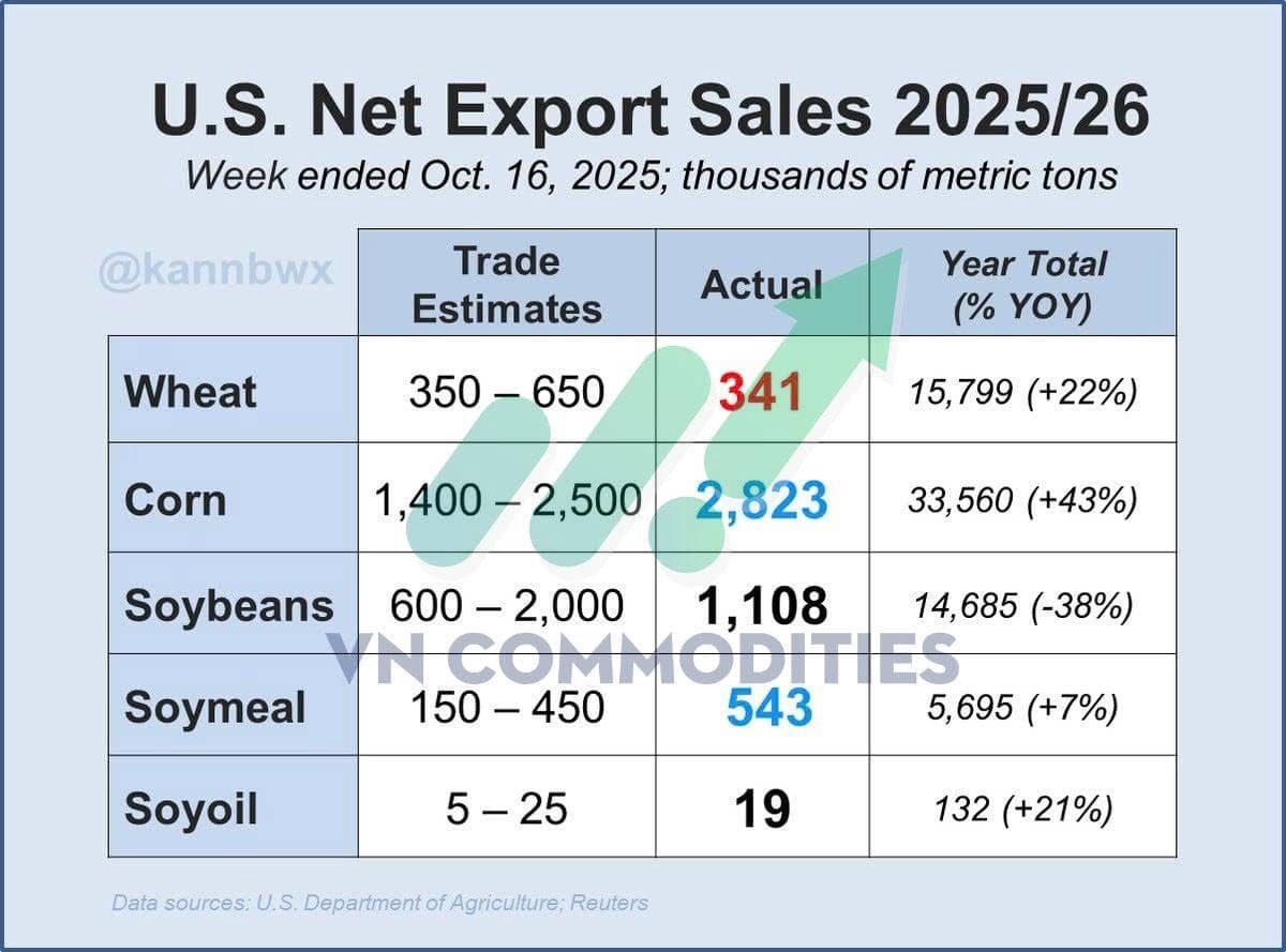 Cuối Năm Dư Cung Bùng Nổ: Lúa Mì Thế Giới Tăng Sản Lượng, Giá Đối Mặt Áp Lực Giảm Sâu