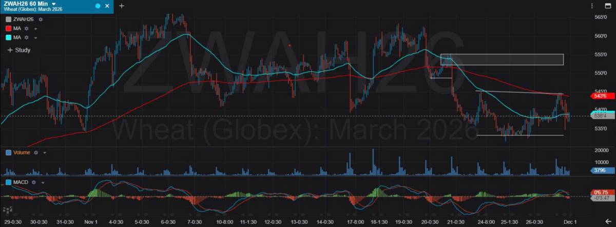 Bản Tin Nhóm Nông Sản Ngày 01/12/2025
