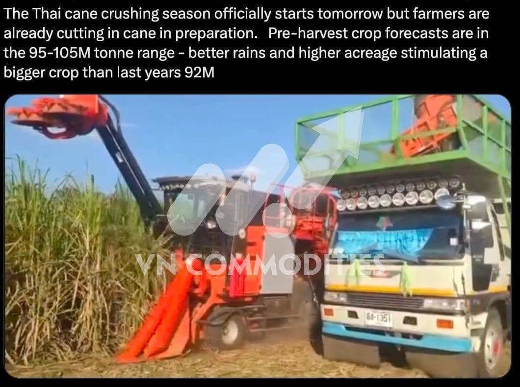 Xuất khẩu ngô Mỹ tăng vọt – Brazil đối mặt hạn hán; đường quay lại đà đi lên