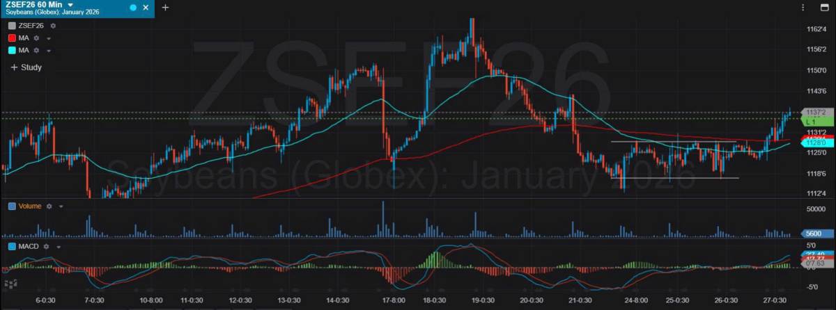 Bản Tin Nhóm Nông Sản Ngày 01/12/2025