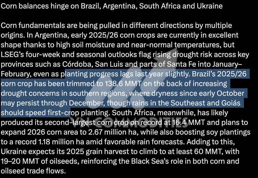 Xuất khẩu ngô Mỹ tăng vọt – Brazil đối mặt hạn hán; đường quay lại đà đi lên