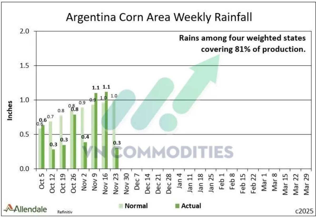 Đậu tương rơi sâu, ngô dẫn dắt dòng tiền