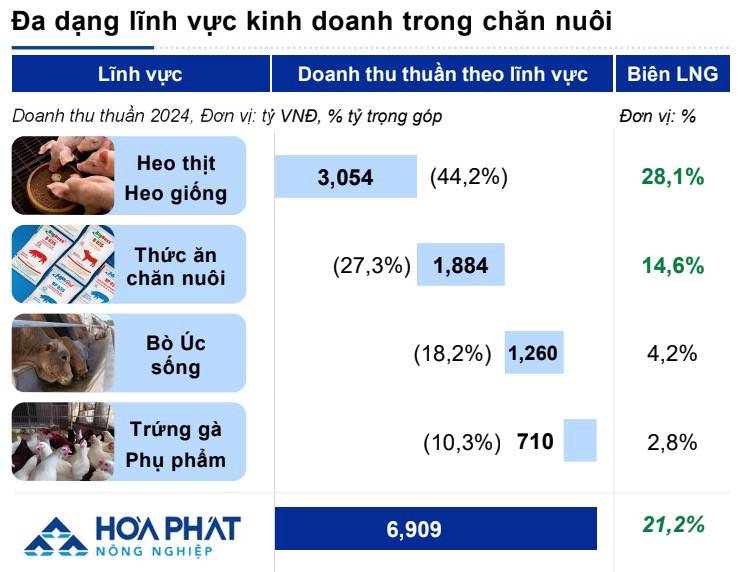 HPA IPO — “Miếng Ngon Thầm Lặng” Của Hòa Phát Hay Chỉ Là ‘Của Phụ’?