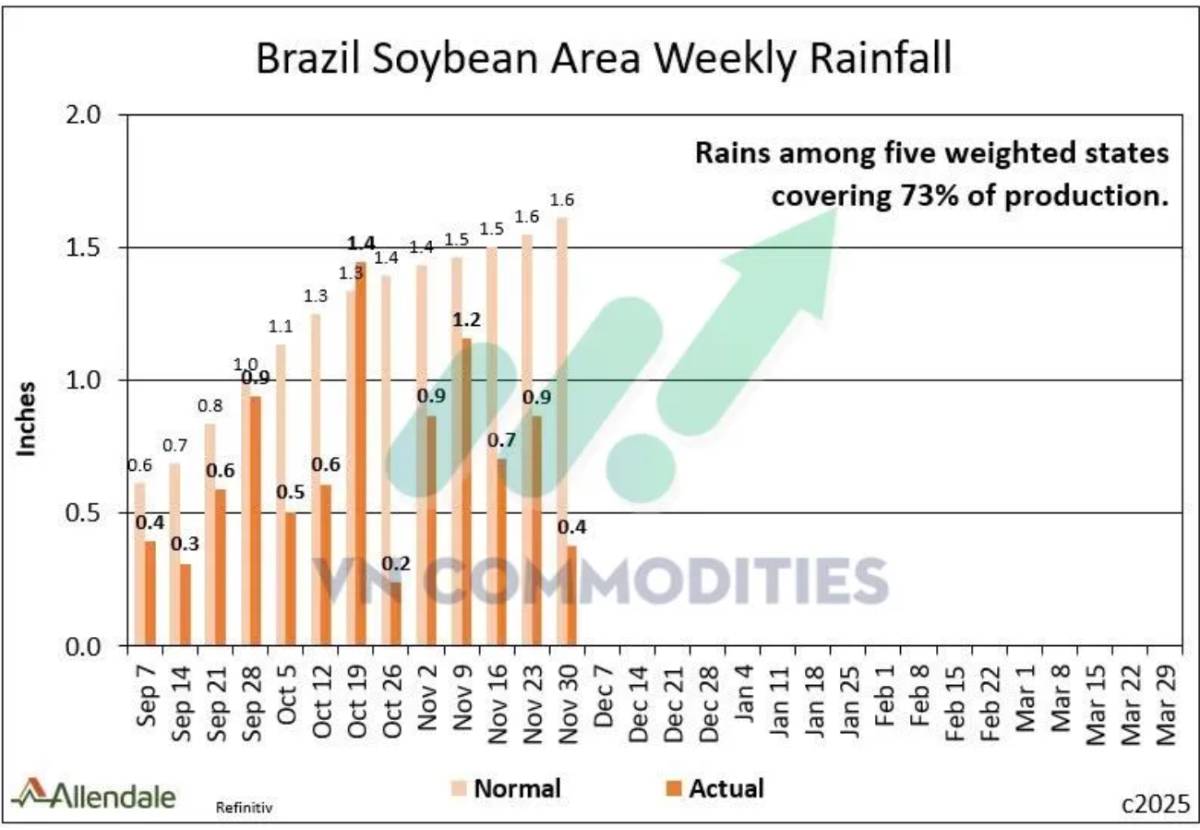 Đậu tương rơi sâu, ngô dẫn dắt dòng tiền