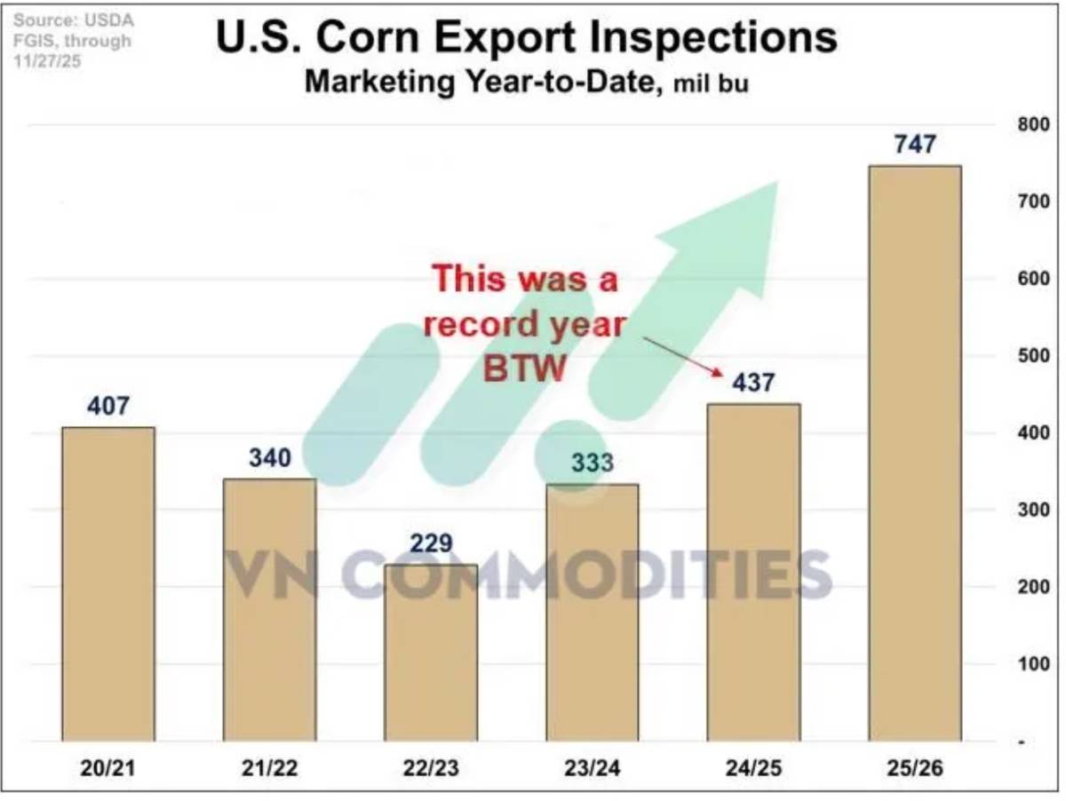 Đậu tương rơi sâu, ngô dẫn dắt dòng tiền