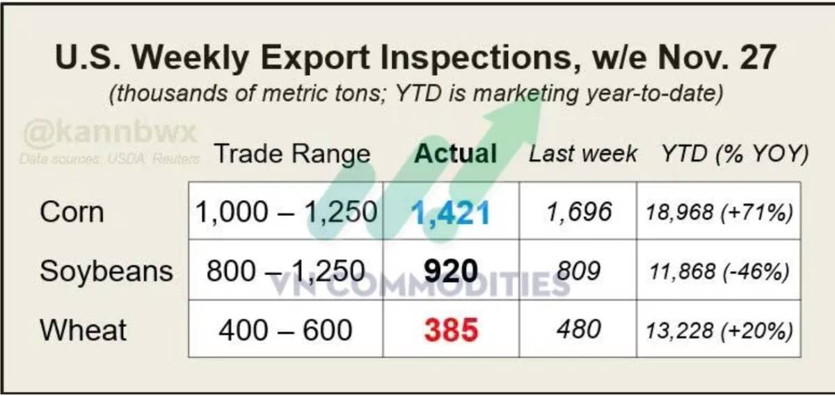 Đậu tương rơi sâu, ngô dẫn dắt dòng tiền