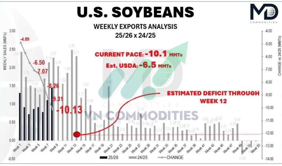 Đậu tương rơi sâu, ngô dẫn dắt dòng tiền