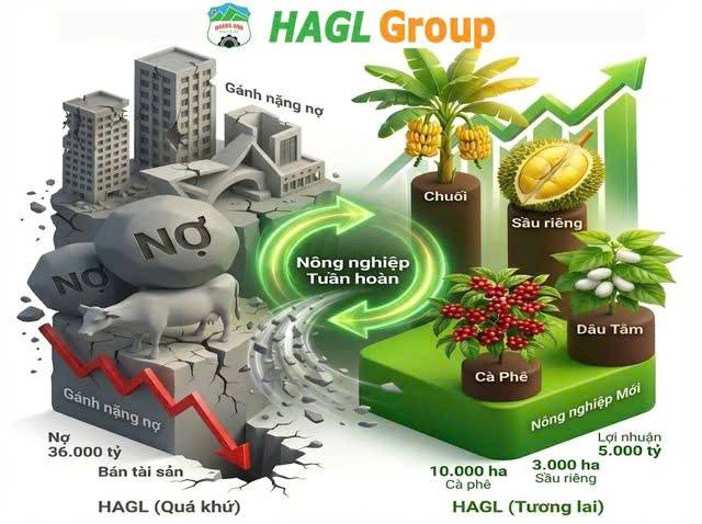 Cổ phiếu HAG giao dịch ra sau thông tin IPO Công ty cổ phân Đầu tư Quốc Tế Hoàng Anh Gia Lai?