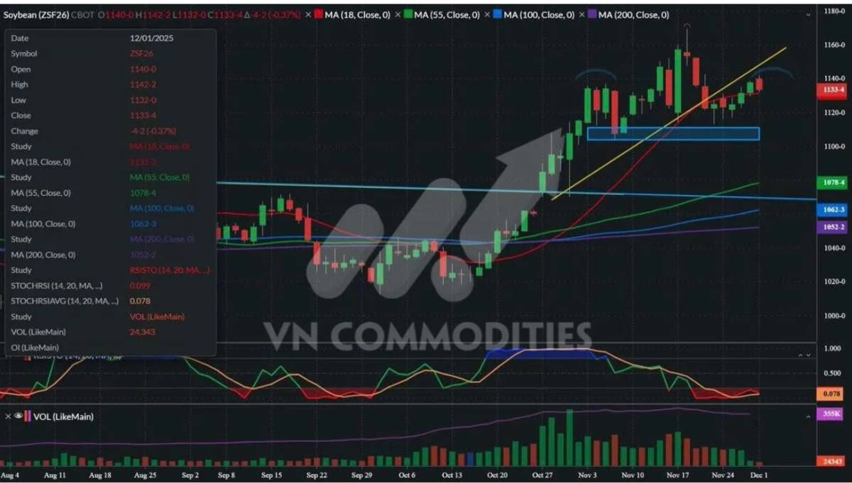 Đậu tương rơi sâu, ngô dẫn dắt dòng tiền