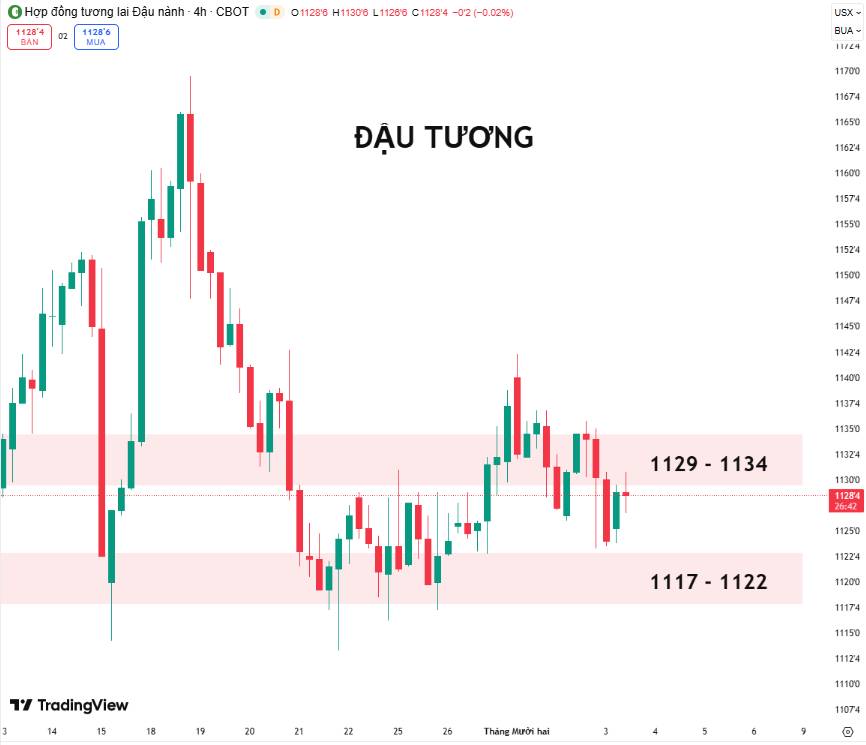 Đậu Tương: Phục Hồi Khó Khăn Khi Nam Mỹ Dự Báo Sản Lượng Kỷ Lục
