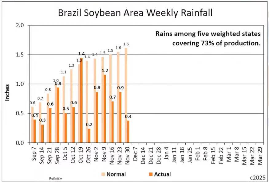Đậu Tương: Phục Hồi Khó Khăn Khi Nam Mỹ Dự Báo Sản Lượng Kỷ Lục