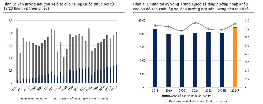 Cổ phiếu PHR - Cơ hội đầu tư lớn nhất năm 2025!