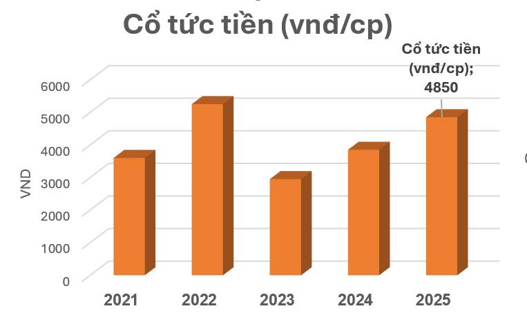 VNM – Vinamilk, doanh nghiệp dẫn đầu ngành sữa Việt Nam