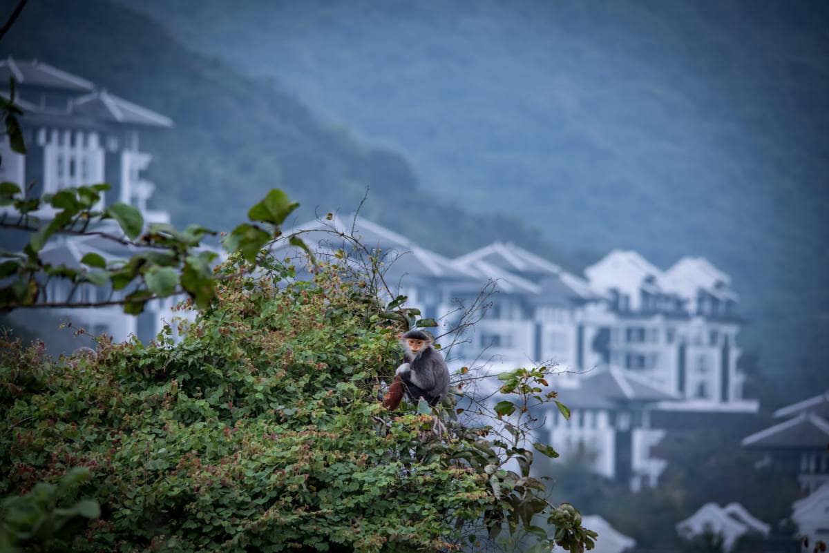 InterContinental Danang Sun Peninsula Resort giành ngôi vị cao nhất tại World Travel Awards thế giới 2025