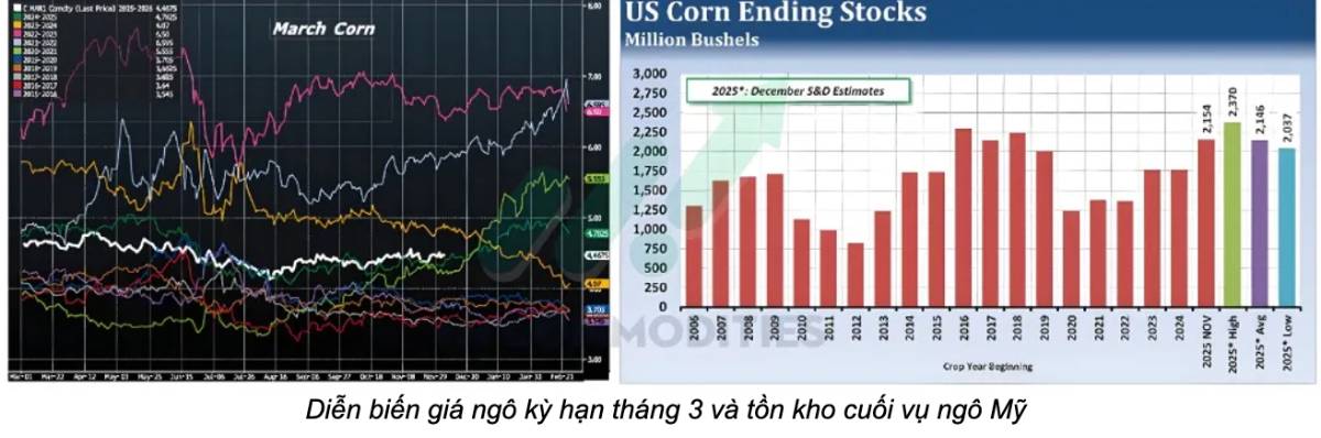 Thời tiết cực đoan, dữ liệu Mỹ trái chiều và triển vọng WASDE: Những lực kéo – đẩy chính trên thị trường hàng hóa tuần này