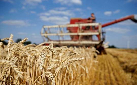 🌾 D&ograve;ng Tiền Quay Lại Thị Trường Ngũ Cốc: T&iacute;n Hiệu Từ Trung Quốc & G&oacute;i Hỗ Trợ 12 Tỷ USD Từ Mỹ. Thị trường  ...