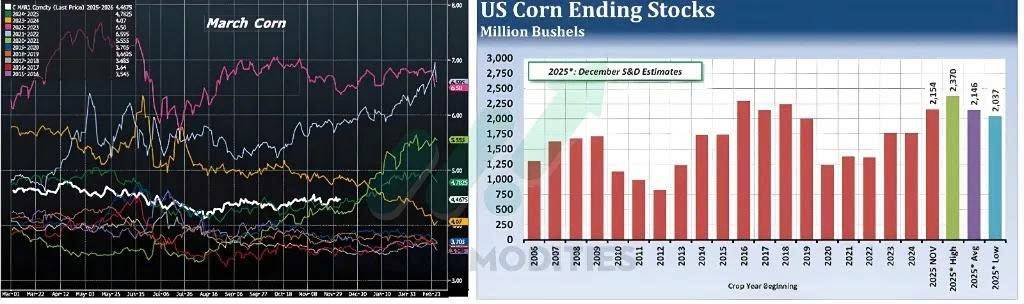 🌽 Cơ hội tích lũy Ngô giá thấp – Góc nhìn đầu tư cho quý I/2026. Giá ngô kỳ hạn thời gian qua vẫn duy  ...