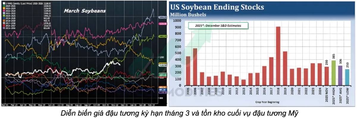 Thời tiết cực đoan, dữ liệu Mỹ trái chiều và triển vọng WASDE: Những lực kéo – đẩy chính trên thị trường hàng hóa tuần này