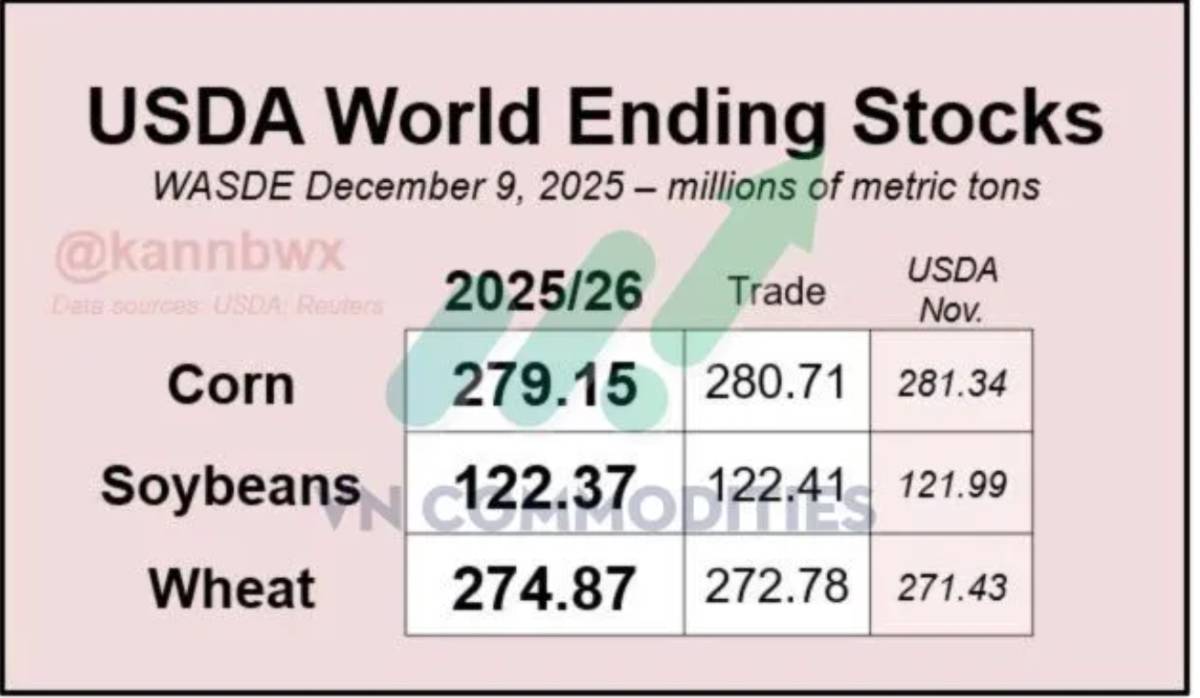 USDA nâng mạnh xuất khẩu ngô, lúa mì thế giới dư cung thêm – Argentina giảm thuế, Việt Nam tăng vọt xuất khẩu cà phê