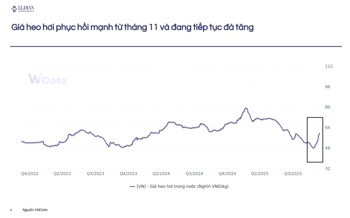 DBC - Phân tích nhanh về tiềm năng tăng trưởng của cổ phiếu Công ty cổ phần tập đoàn Dabaco