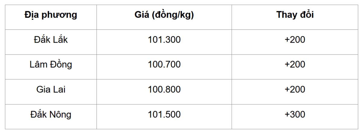 Giá cà phê 10/12: Tăng nhẹ trở lại dù thị trường chịu nhiều sức ép