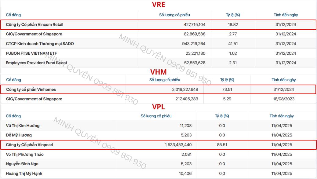 VPL (Vinpearl): Cơ hội đầu cơ?
