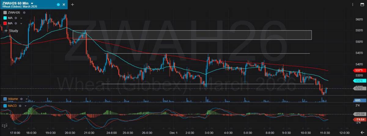 Bản Tin Nhóm Nông Sản Ngày 11/12/2025