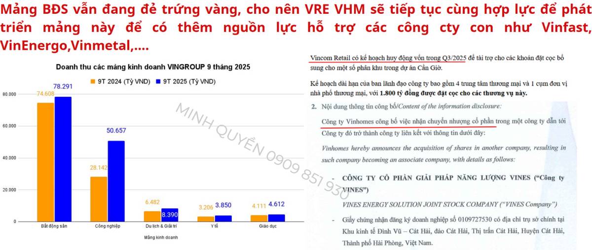 VPL (Vinpearl): Cơ hội đầu cơ?