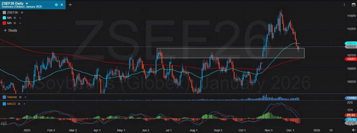 Bản Tin Nhóm Nông Sản Ngày 11/12/2025