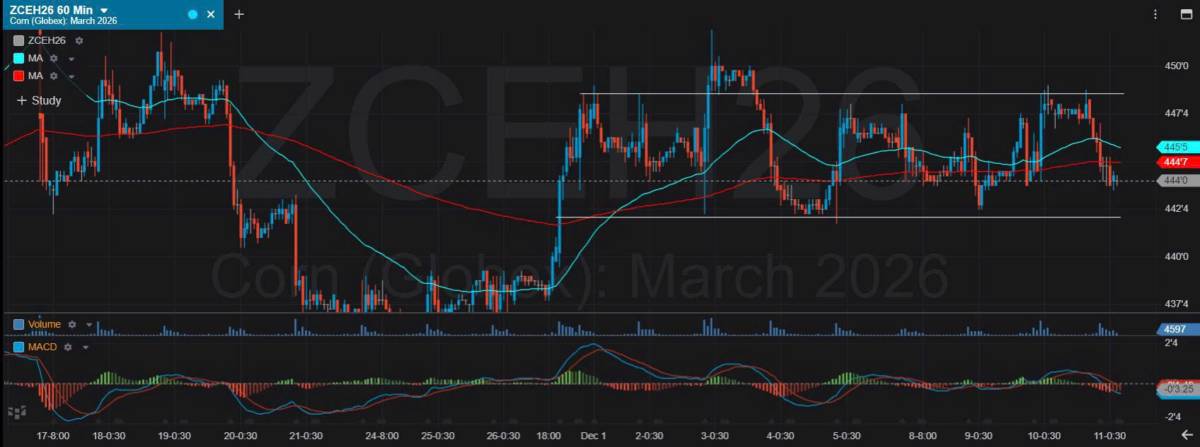 Bản Tin Nhóm Nông Sản Ngày 11/12/2025