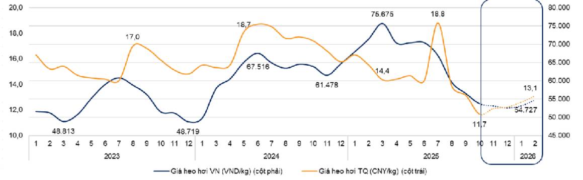 BAF - Kịch bản nào cho nhịp tới?