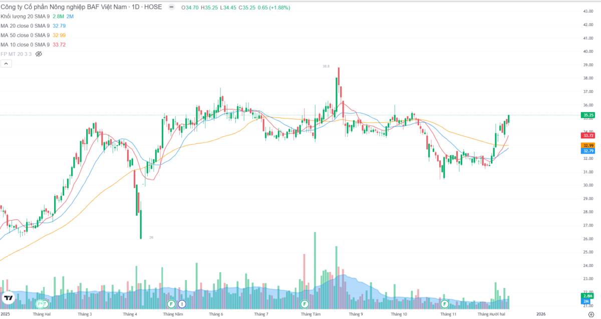BAF - Kịch bản nào cho nhịp tới?