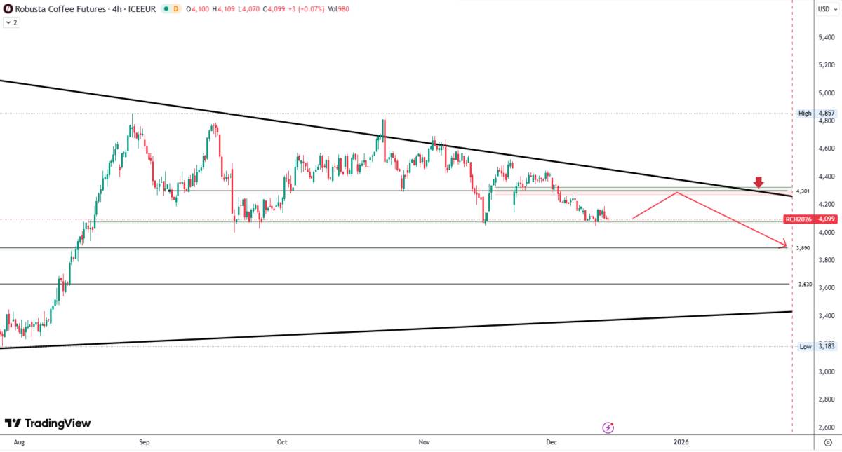 ☕ ROBUSTA: NGUỒN CUNG CHƯA MỞ, TỒN KHO ĐANG SIẾT – GIAI ĐOẠN NHẠY CẢM NHẤT CUỐI NĂM. ﻿. Thị trường Robusta  ...