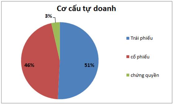 HCM – Tự doanh sai lầm nhưng cho vay cứu lại