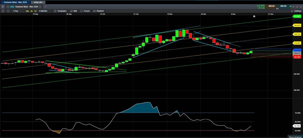 Áp lực bán suy yếu, khô đậu tương tiến gần vùng giá phù hợp để canh mua. Hợp đồng khô đậu tương đã điều  ...