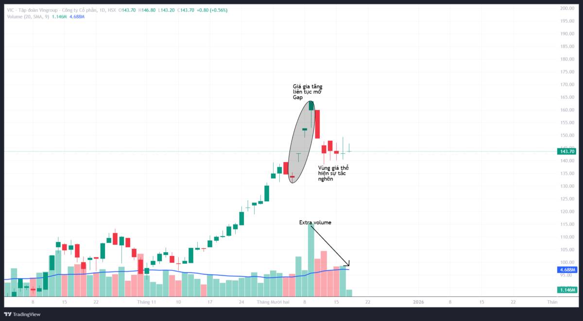 VIC: Rủi ro hay cơ hội? - Phân tích góc nhìn theo VSA