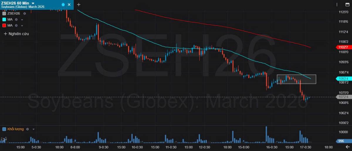 Bản Tin Nhóm Nông Sản Ngày 17/12/2025
