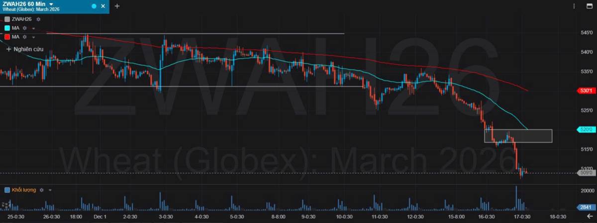 Bản Tin Nhóm Nông Sản Ngày 17/12/2025