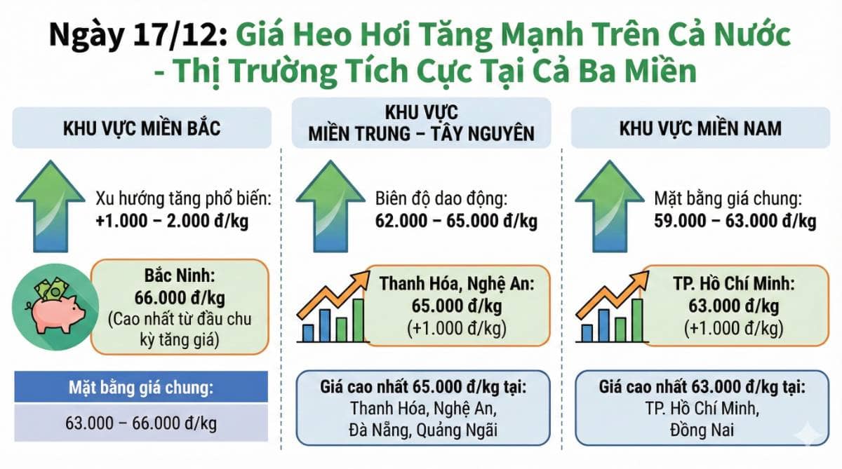 Ngày 17/12: Giá heo tăng mạnh trên cả nước