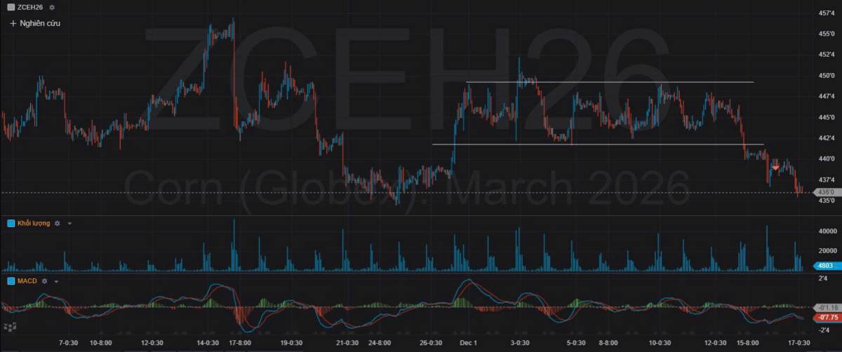 Bản Tin Nhóm Nông Sản Ngày 17/12/2025