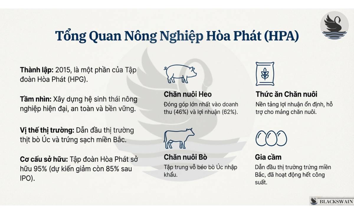 HPA và mô hình kinh doanh lấy hiệu quả là trung tâm