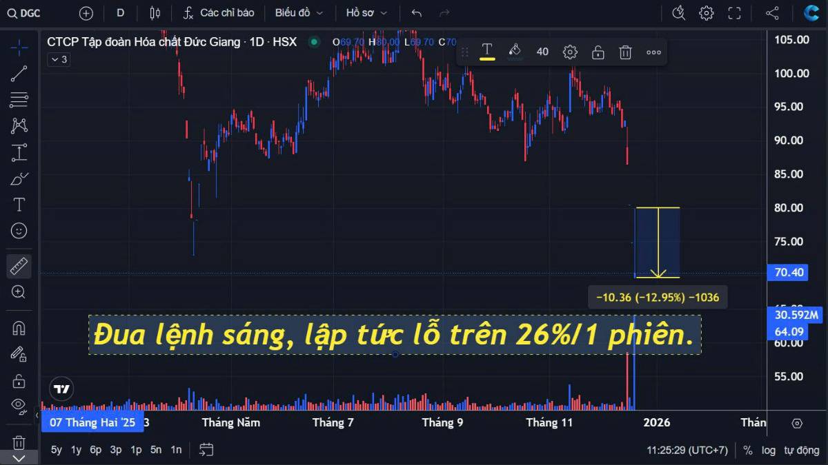 Như cổ phiếu DGC sáng anh chị nhà đầu tư nào đua lệnh cuối phiên rất dễ lỗ trên 25% chỉ trong 1 phiên.  ...