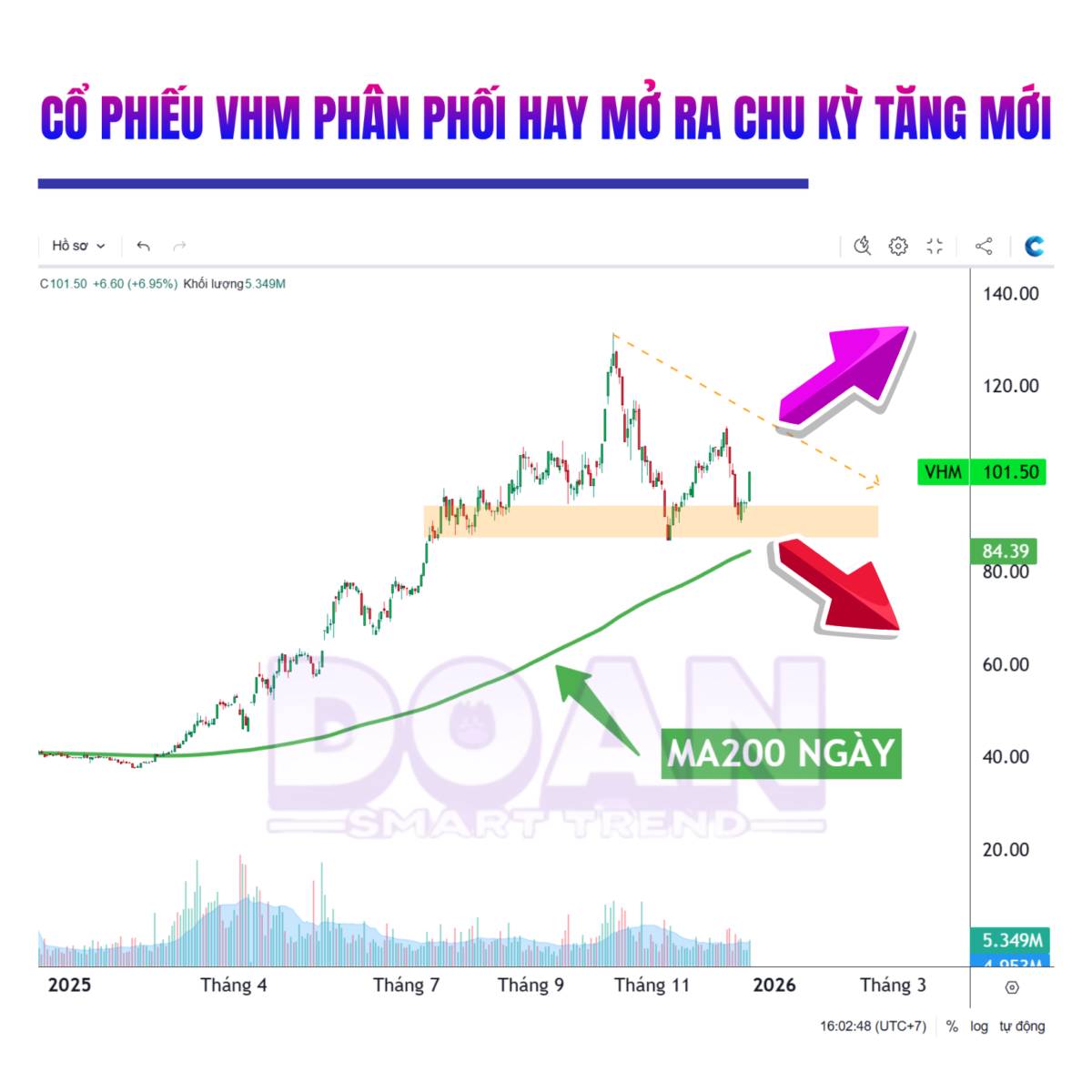 CỔ PHIẾU VHM PHÂN PHỐI HAY MỞ RA CHU KỲ TĂNG GIÁ MỚI NĂM 2026. Không thể phủ nhận các cổ phiếu trong  ...