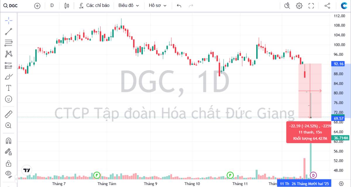 DGC – Có nên bắt đáy không?