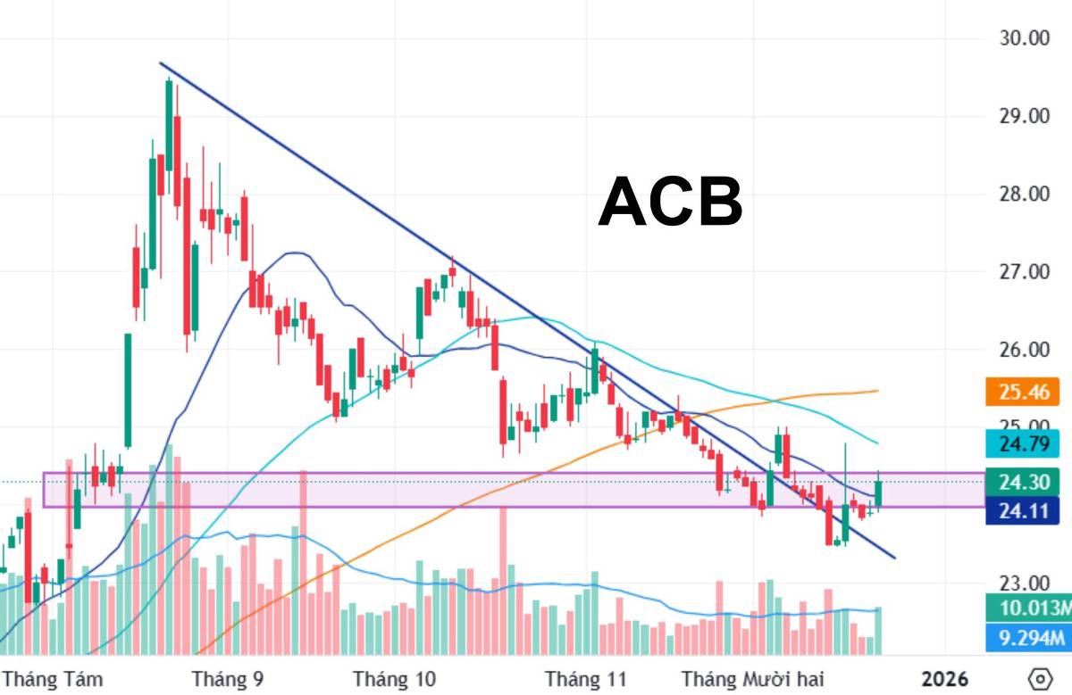 Nhóm “Đáng đầu tư” – Core, an toàn, phù hợp nắm giữ trung dài hạn