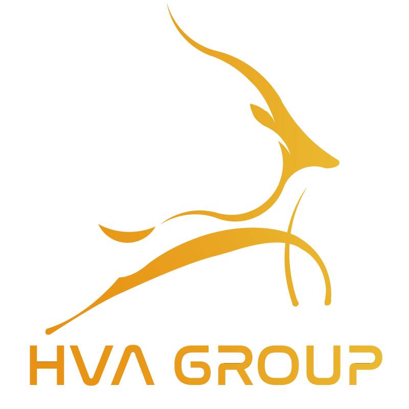 PHÂN TÍCH TÀI SẢN SỐ VÀ TIỀM NĂNG TĂNG TRƯỞNG CỦA KỲ LÂN ẨN MÌNH (UPCOM:HVA). Ở HVA, dưới góc độ là  ...